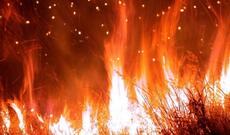 Krasnoyarsk ərazisində meşə yanğınları nəticəsində bir nəfər həlak olub