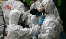 SFTS virusu koronavirusdan daha az təhlükəlidir