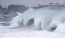 “Maysak” qasırğası  Cənubi Koreyada fəlakətlərə səbəb olub