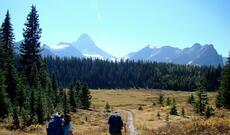 Soçidə səkkiz uşaq və üç böyük şəxs  itkin düşüb