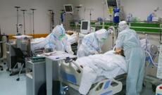 Azərbaycanda bu gün koronavirus infeksiyasına 527 yeni yoluxma faktı qeydə alınıb