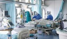 Paytaxtdakı poliklinikalar 7 günlük iş rejiminə keçib