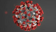 Ölkə üzrə COVID-19-a yoluxma statistikasında yenə də ən yüksək yoluxma Bakı şəhərinin payına düşür