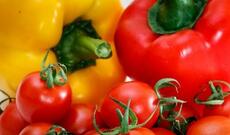 Rusiya  Ermənistan pomidorundan imtina edib