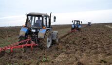 Ağdamda  700 hektardan artıq ərazi minalardan təmizlənərək şumlanıb və taxıl əkilib