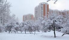 Gələn həftə Moskvada anomal Sibir şaxtaları gözlənilir