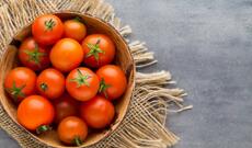 Rusiya yenidən Azərbaycan pomidoruna qadağa qoyub