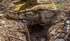 Deqati: Natavanın sümükləri qəbirdən çıxarılmışdı: Daha bir erməni vəhşəti