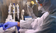 Azərbaycanda son sutkada koronavirusa 226 yeni yoluxma faktı qeydə alınıb