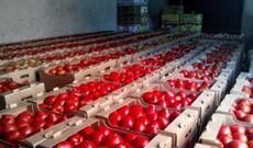 Rusiya ilə Azərbaycan arasında "pamidor savaşı" davam edir