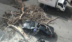 Bakıda küləyin yaratdığı fəsadlar: Qadın öldü, ağaclar aşdı, binaların damı uçdu...