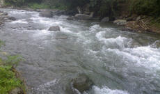 Oxçuçayda balıqların kütləvi ölümünə səbəb nədir?