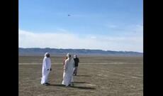 Ərəblər drona göyərçin bağlayıb şahinə yem etdilər - Video