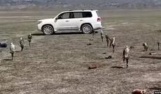 “Onların arxasında çox böyük oliqarxlar dayanır”