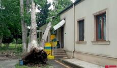 Külək şəhərin altını üstünə çevirdi: Ağaclar aşdı, evlər yararsız hala düşdü - Fotolar