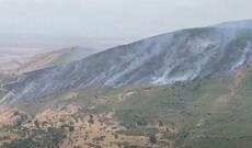 Hadrut istiqamətində meşə zolağı yanır - Video