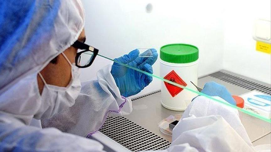 Yaponiya alimləri bütün həyatı boyu qorumağa qadir olan peyvəndin hazırlanması üzərində çalışır