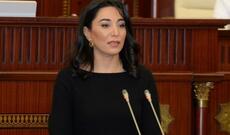 Ombudsmandan Senatın qətnaməsi ilə bağlı bəyanat