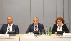 Fransa müstəmləkəçiliyinə qarşı Bakı Təşəbbüs Qrupunun yaradılmasına dair qərar qəbul edilib