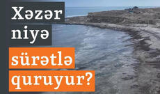 Günün videosu