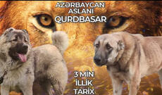 Günün videosu