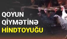 Günün videosu