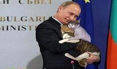 Günün fotosu