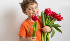 Şərhsiz