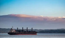 Yaponiyada 200 milyon tondan çox nadir metal tapılıb