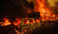 Güclü meşə yanğınları tüğyan edir