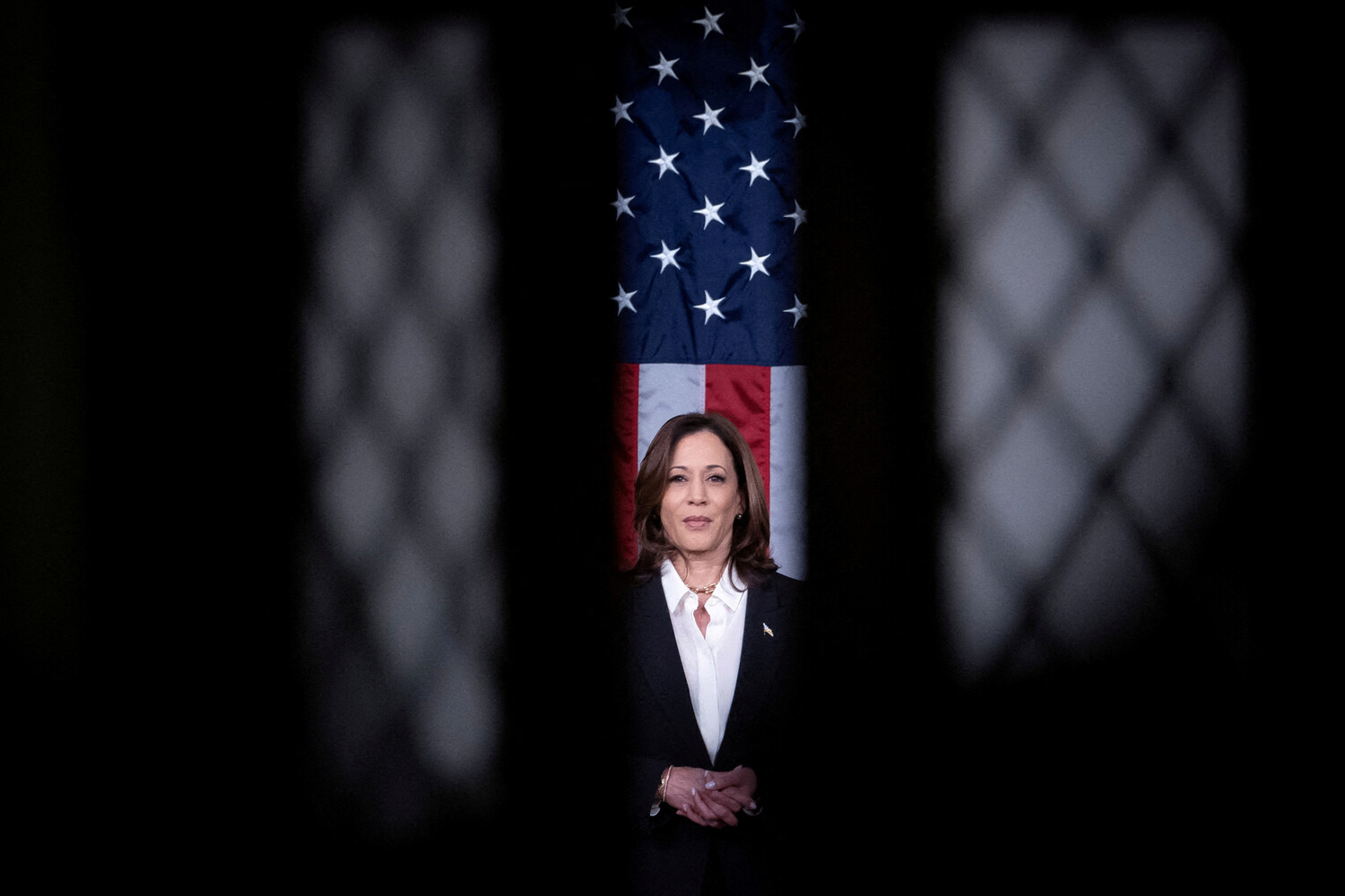 Harris Demokratların namizədliyi üçün nümayəndə dəstəyini qazanır