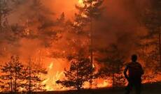 Yakutiya meşələrində yanğınların sahəsi 1 milyon hektarı ötüb