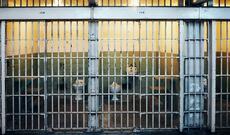 ABŞ səfirliyinin keçmiş əməkdaşını geri qaytarmaq istəyir