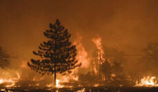 Kaliforniyada böyük yanğınlar tüğyan edir