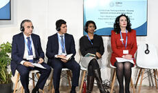 COP29 çərçivəsində beyin mərkəzlərinin işçi qrupu yaradılıb