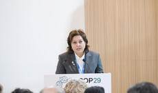 COP29-da Xəzər müzakirə olunub: Dənizin səviyyəsi tarixdə qeydə alınan ən aşağı həddə yaxındır