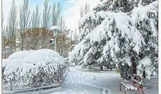 Faktiki hava: 23 dərəcə şaxta, 82 sm qar...