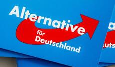 Almaniya əks-kəşfiyyatı AfD-ni ekstremist partiya elan edib