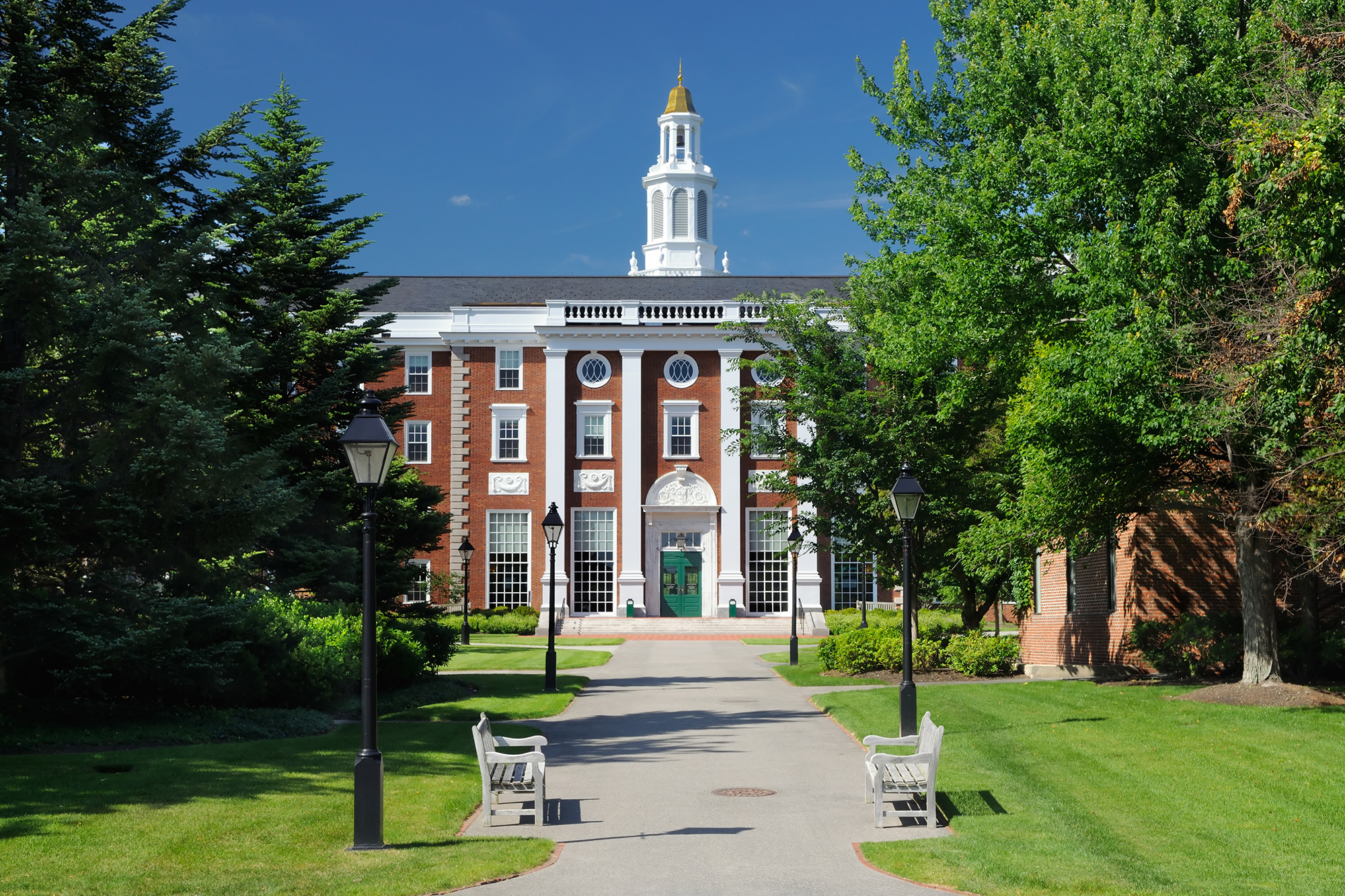Donald Tramp : Harvard Universiteti xarici tələbələrə 15 faizlik məhdudiyyət qoymalıdır