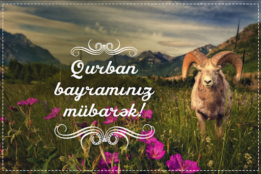 Qurban bayramı: Səxavət, yardımlaşma və mənəvi təmizlənmə rəmzi