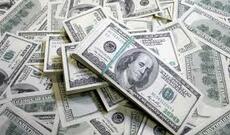 Rumıniya sərhədçiləri ukraynalı cütlüyü 1,4 milyon dollarla saxlayıb