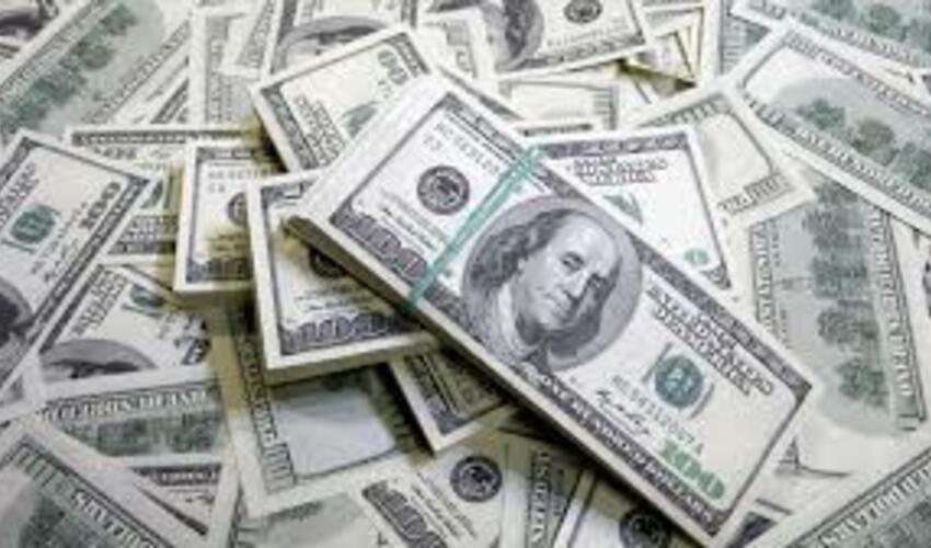 Rumıniya sərhədçiləri ukraynalı cütlüyü 1,4 milyon dollarla saxlayıb