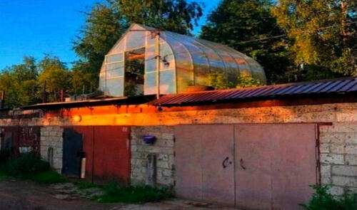 Şərhsiz