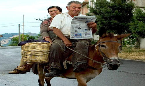 Şərhsiz