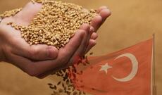 Türkiyə Rusiya taxılının idxalını azaldır