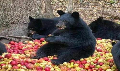 Günün fotosu