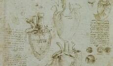 Alimlər Leonardo da Vinçinin anatomik rəsmlərinin sirrini açdılar