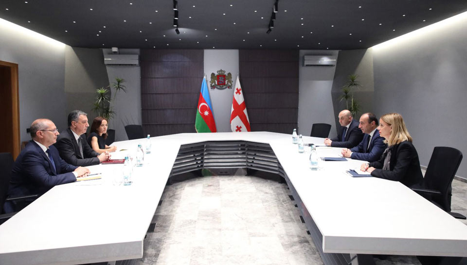 Gürcüstanın daxili işlər naziri Azərbaycan səfiri ilə görüşüb