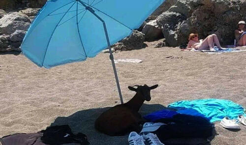 Günün fotosu