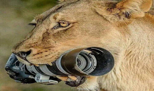 Günün fotosu